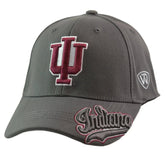 Indiana Hoosiers Gray Flex Fit Hat – TOW NCAA All Access Cap