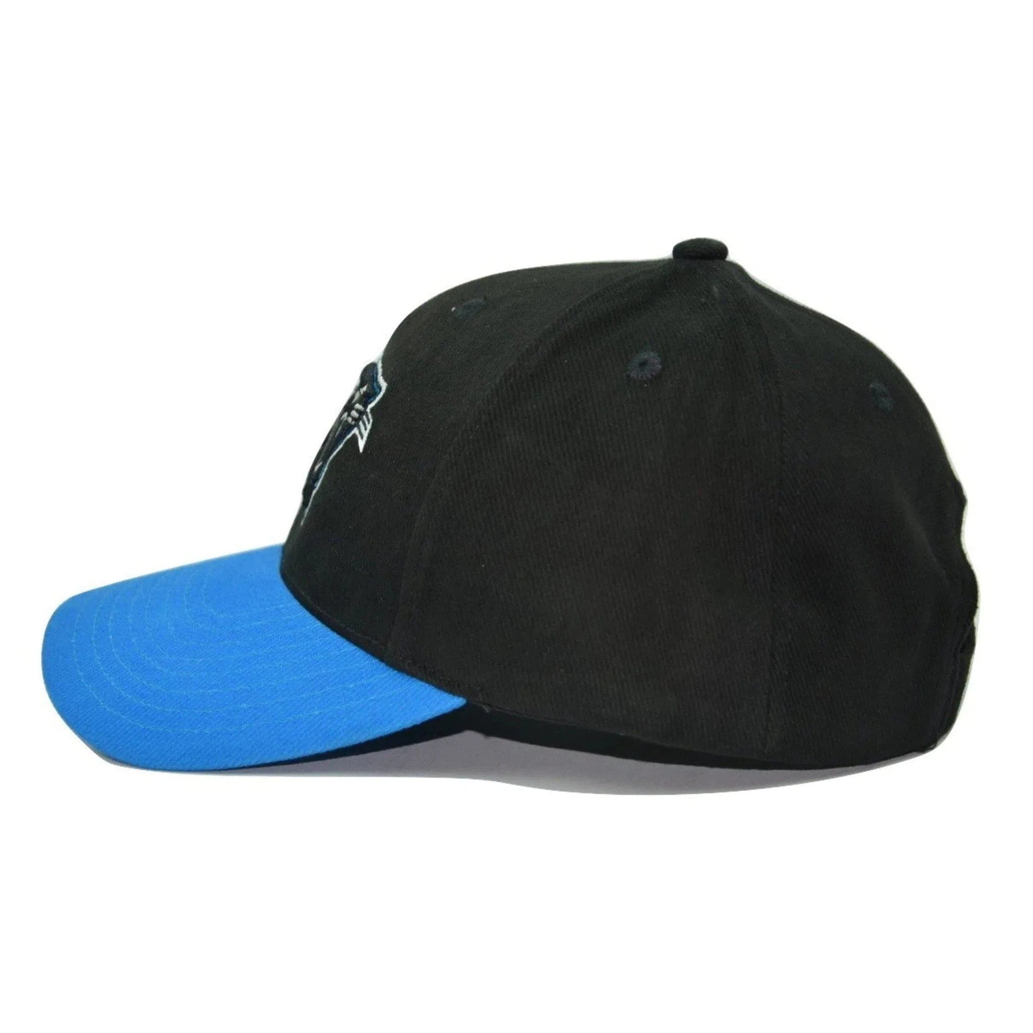 Carolina Panthers NFL Team Apparel 2 Tone Black & Teal Adjustable Football Cap