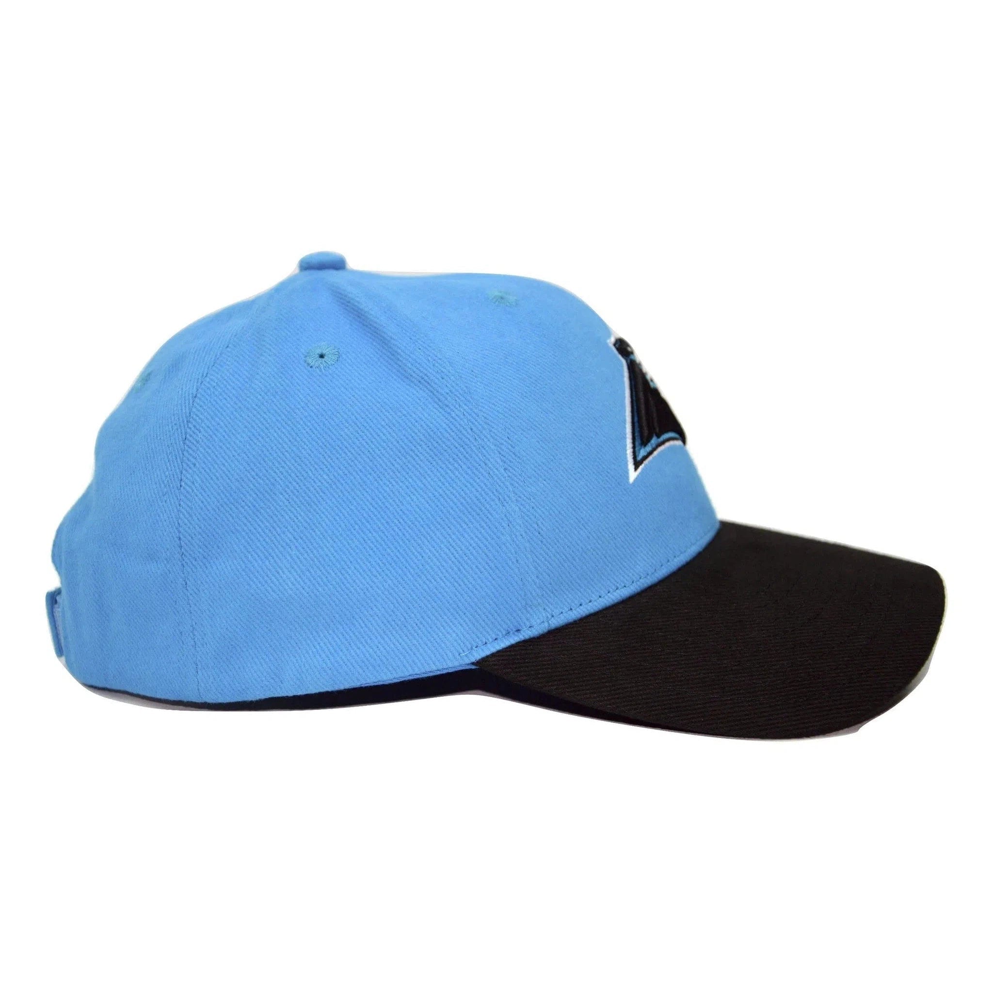 Carolina Panthers NFL Team Apparel 2 Tone Teal & Black Adjustable Football Cap