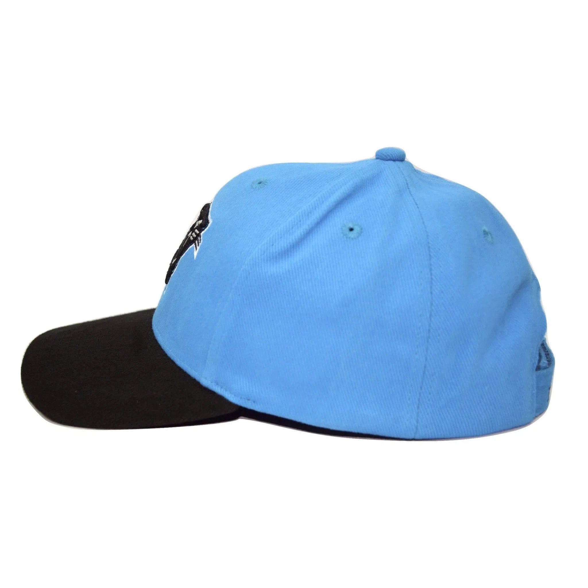 Carolina Panthers NFL Team Apparel 2 Tone Teal & Black Adjustable Football Cap