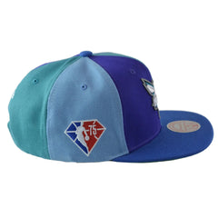 Charlotte Hornets NBA Team Era Pinwheel Men's Snapback Cap, Flat Bill Hat by Mitchell & Ness