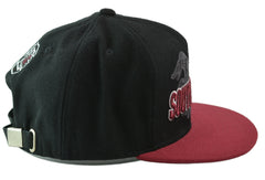 South Carolina Gamecocks TOW Sublime Strapback Flat Bill Hat