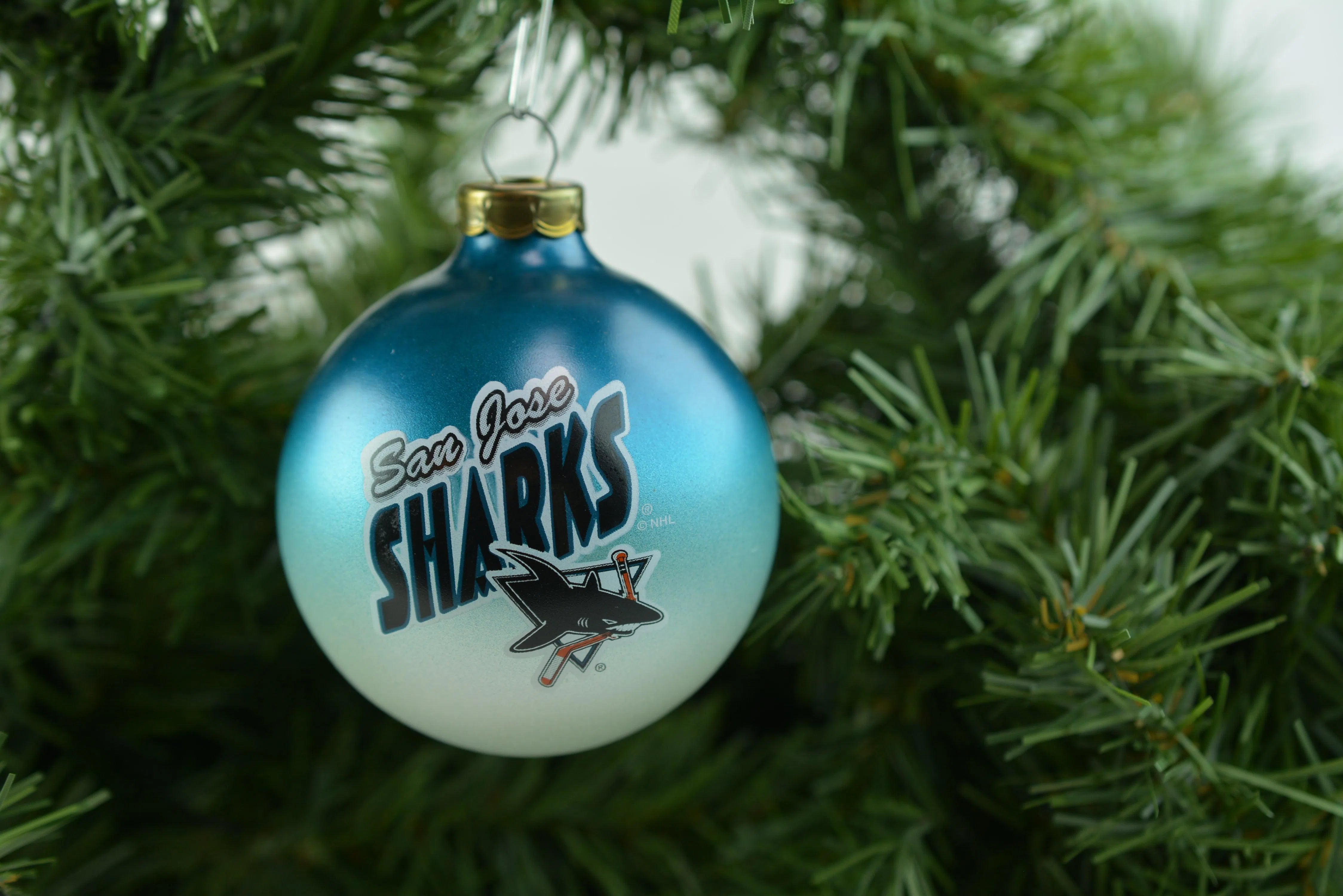 San Jose Sharks NHL Sport Collectors Series Glass Holiday Christmas Ornament by Topperscot