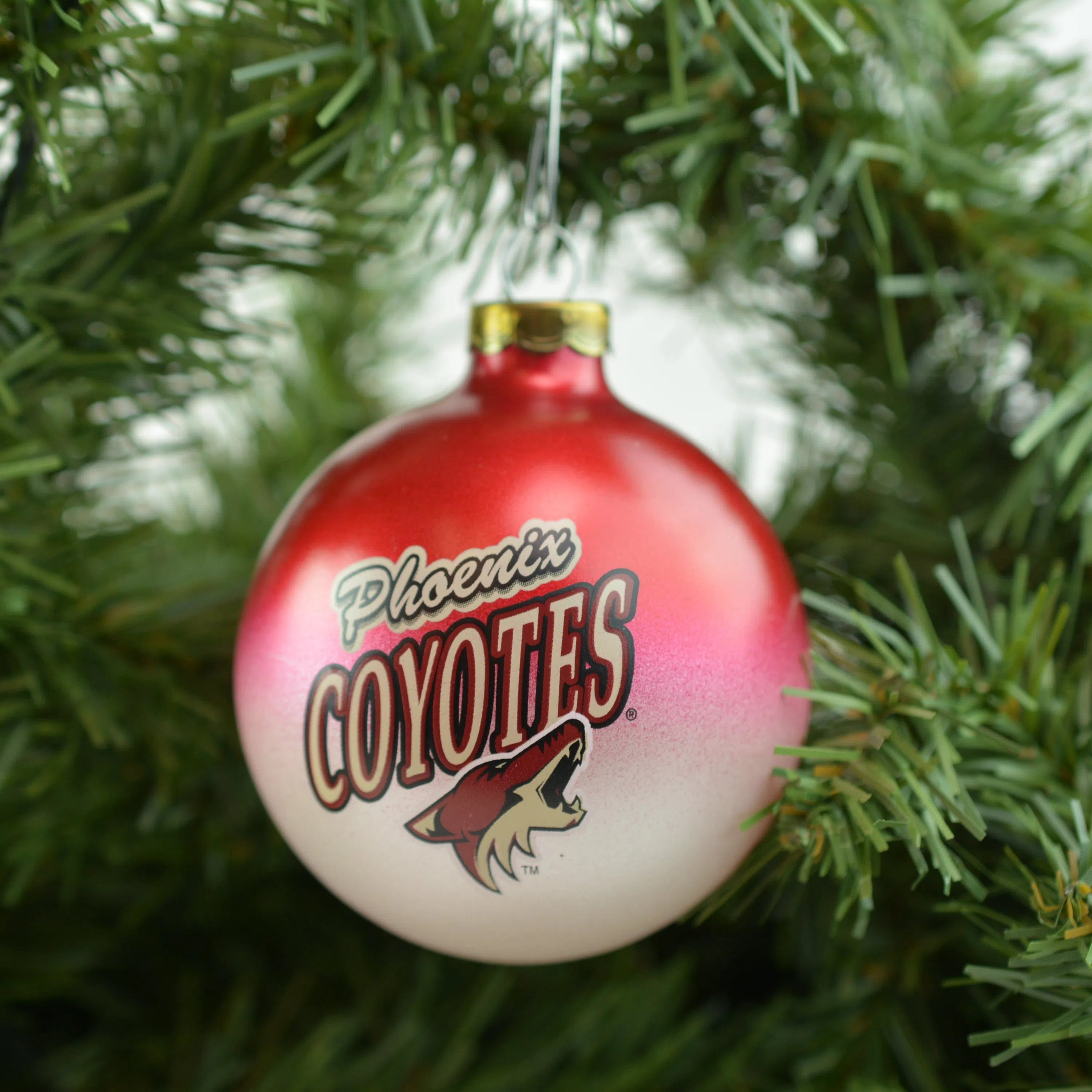 Phoenix Coyotes NHL Sport Collectors Series Glass Holiday Christmas Ornament