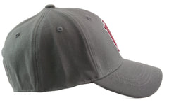 Indiana Hoosiers Gray Flex Fit Hat – TOW NCAA All Access Cap