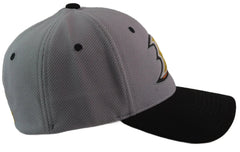 Anaheim Ducks Zephyr Gray & Black 2 Tone NHL Flex Fit Hat M/L