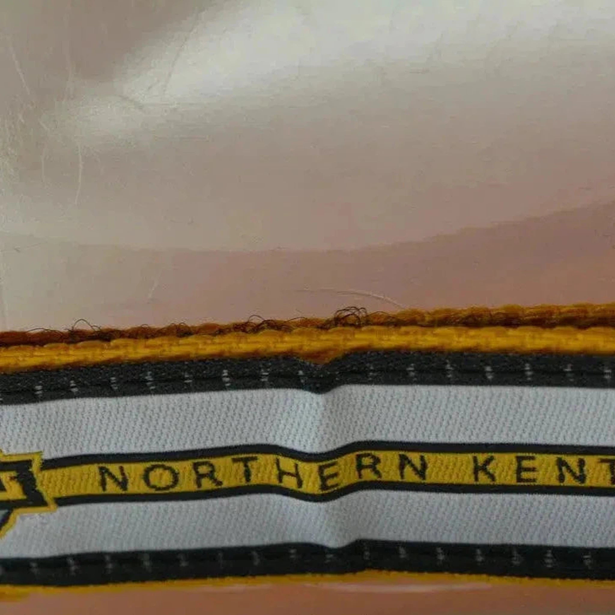 NKU Northern Kentucky Norse NCAA Team Logo Men's Adjustable Hat by Fan Favorite