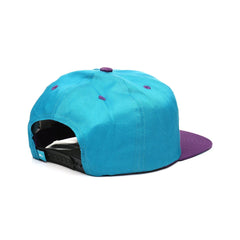 Fly Society Fly Plan 2 Tone Color Teal & Purple Adjustable Snapback Cap