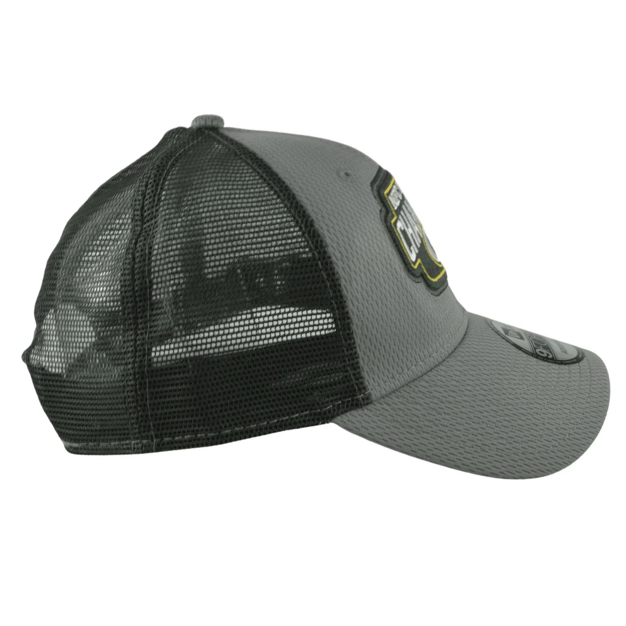 Green Bay Packers New Era 9FORTY NFC North Champions 2Tone Gray NFL Hat