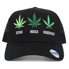 Mary Jane Strains Cap Sativa, Indica, 420, Pot, Weed, Black Snapback Hat by KB Ethos