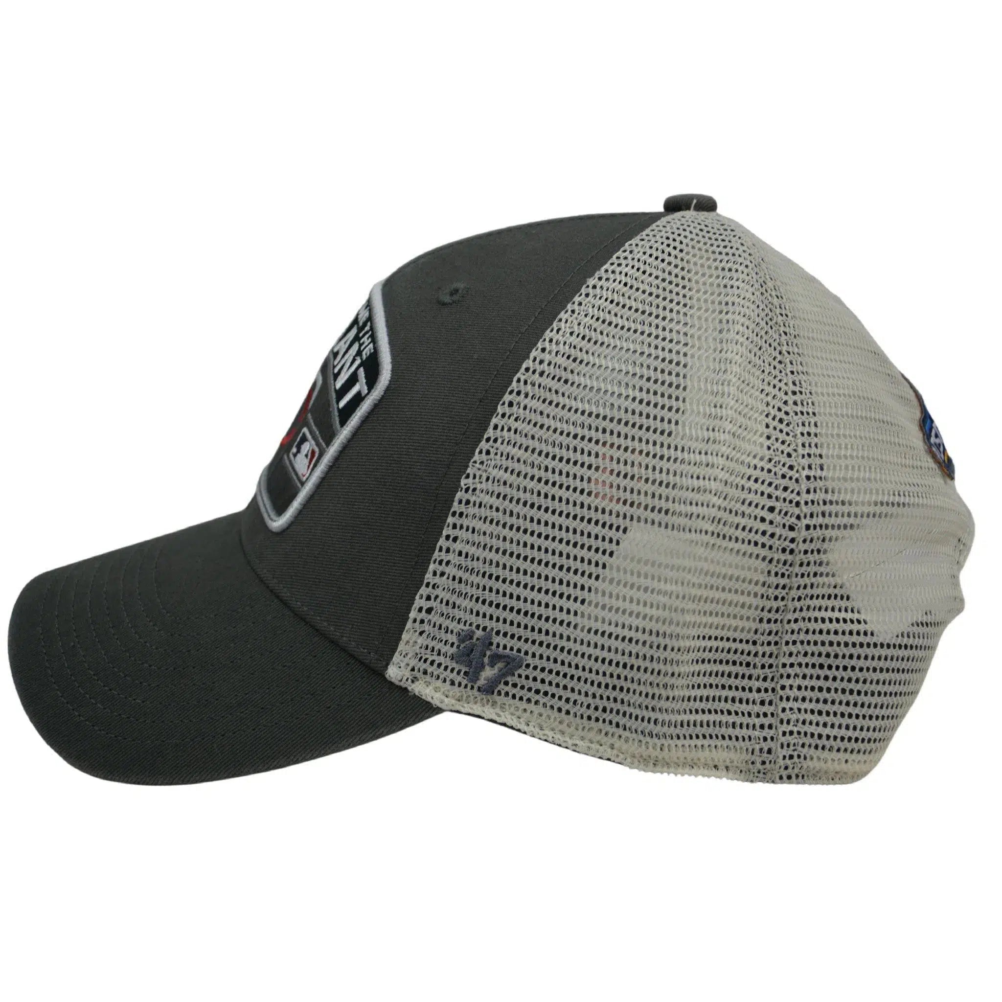 Minnesota Twins MLB Bring Home the Pennant Adjustable Mesh Back Baseball Hat