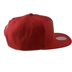 New Jersey Nets NBA Reverse Grinch Men's Basketball Flat bill Snapback Cap, Hat by Mitchell & Ness