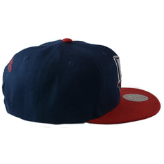 New Jersey Nets NBA Team DNA 2 Tone Men's Snapback Hat by Mitchell & Ness