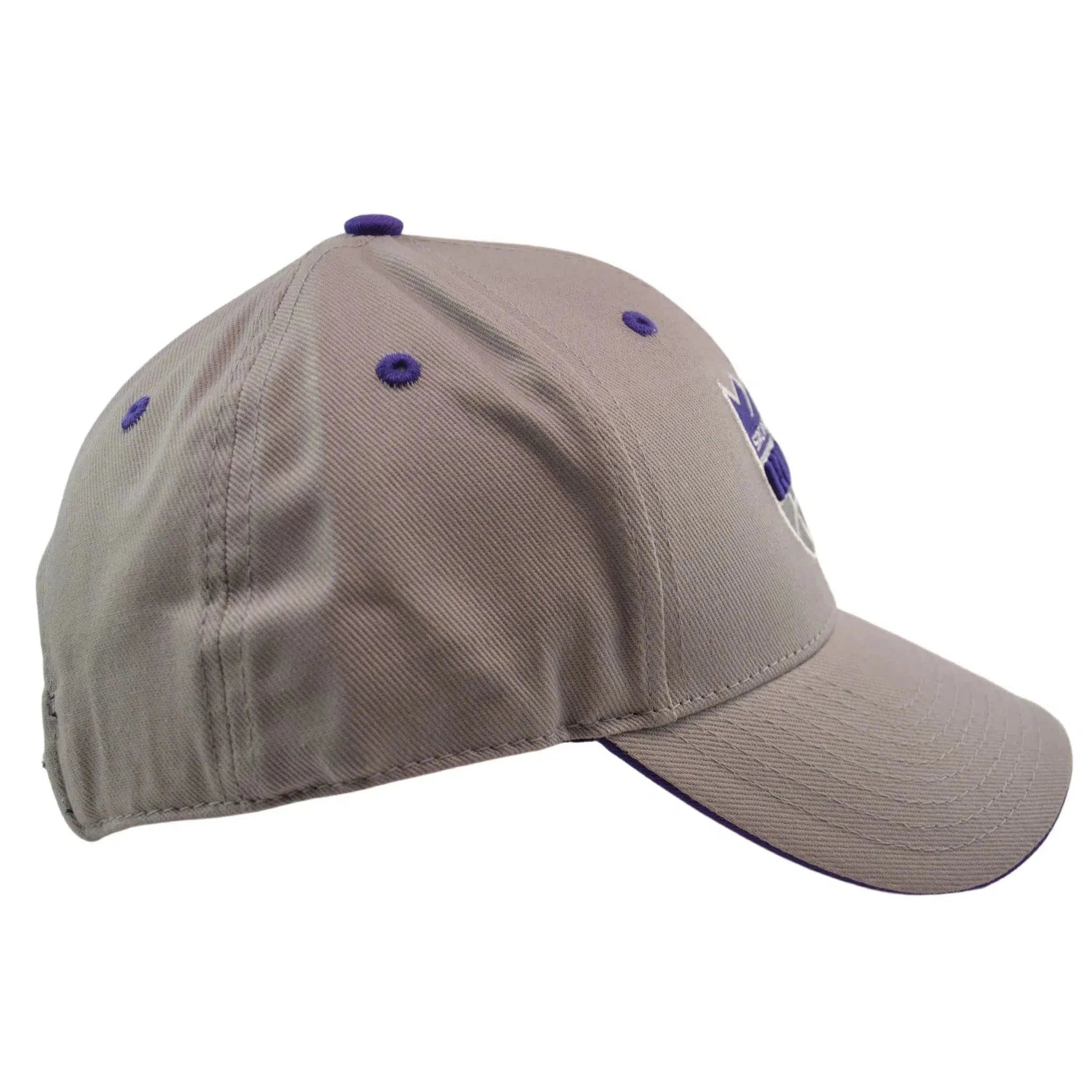 Sacramento Kings Fan Favorite Gray NBA Team Logo Adjustable Hat