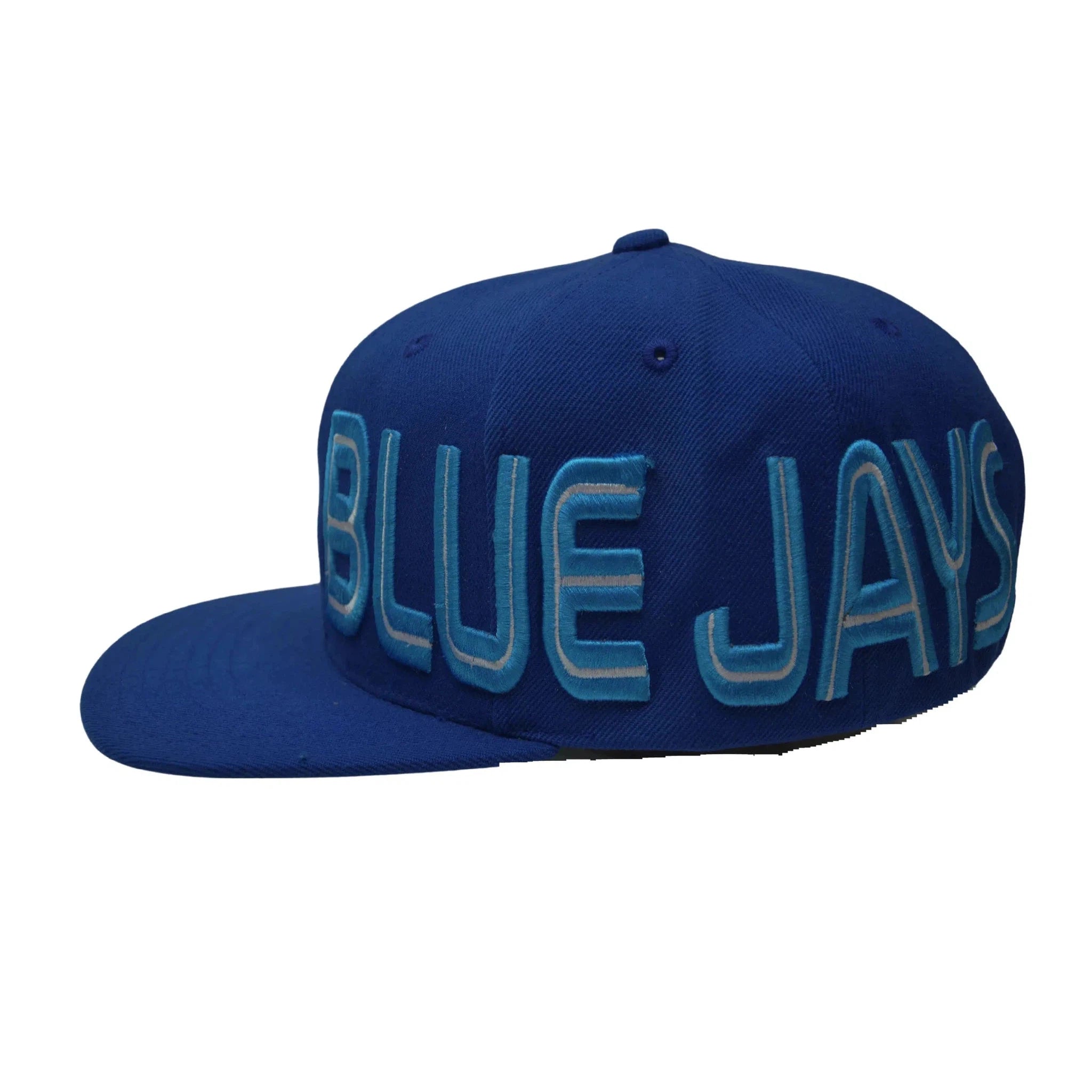 Toronto Blue Jays American Needle MLB Baseball Dual Logo Cap Snapback Hat