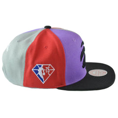 Toronto Raptors NBA Team Era Pinwheel Men's Snapback Cap, Flat Bill Hat by Mitchell & Ness