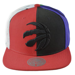 Toronto Raptors What The? NBA 75th Anniversary Men's Snapback Hat by Mitchell & Ness