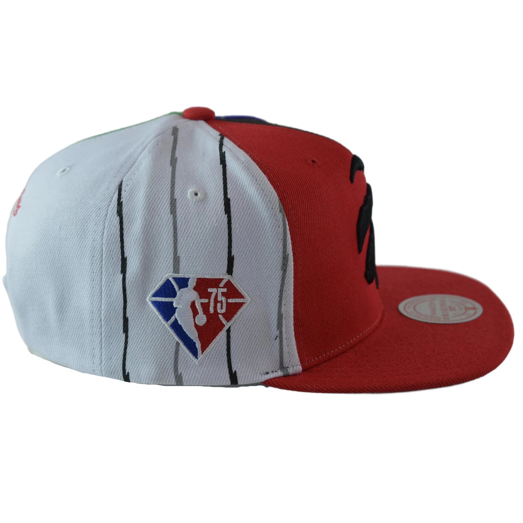 Toronto Raptors What The? NBA 75th Anniversary Men's Snapback Hat by Mitchell & Ness